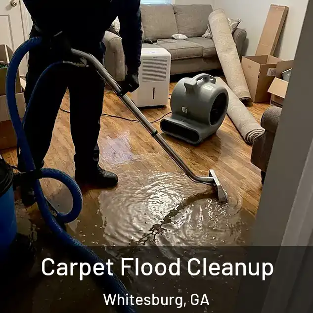  Carpet Flood Cleanup Whitesburg, GA