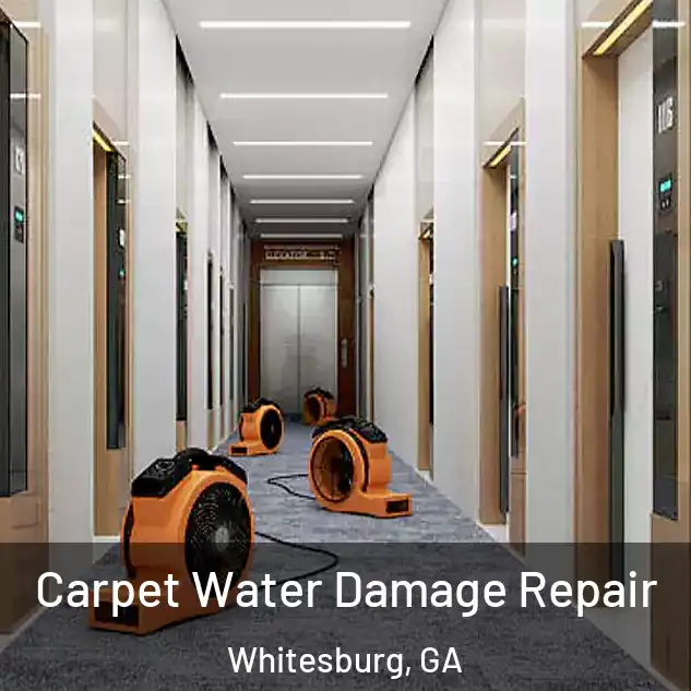  Carpet Water Damage Repair Whitesburg, GA