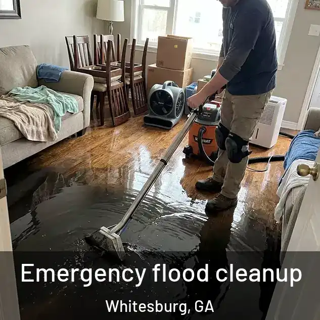  Emergency flood cleanup Whitesburg, GA