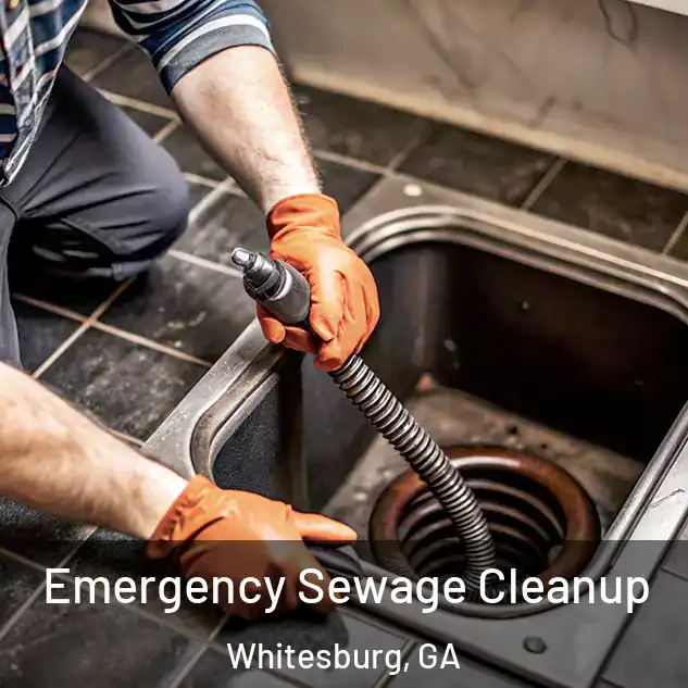  Emergency Sewage Cleanup Whitesburg, GA