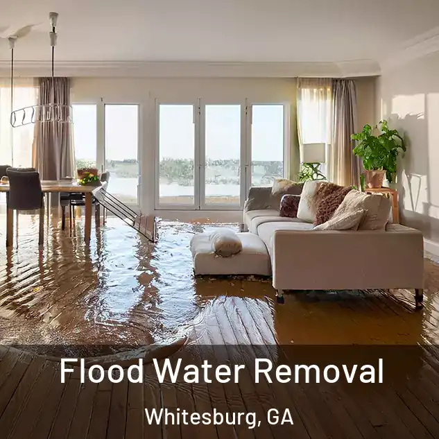  Flood Water Removal Whitesburg, GA