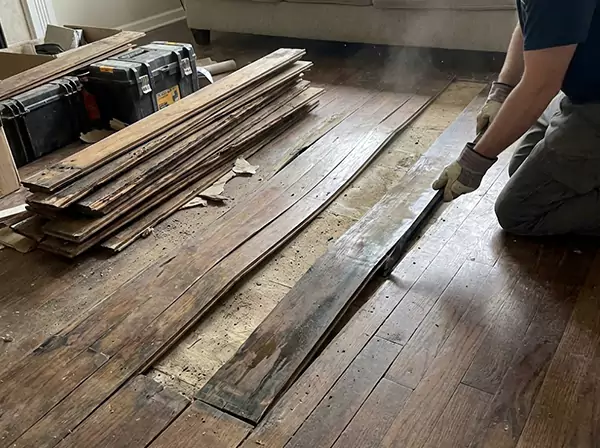 Water Damage Drying in Whitesburg