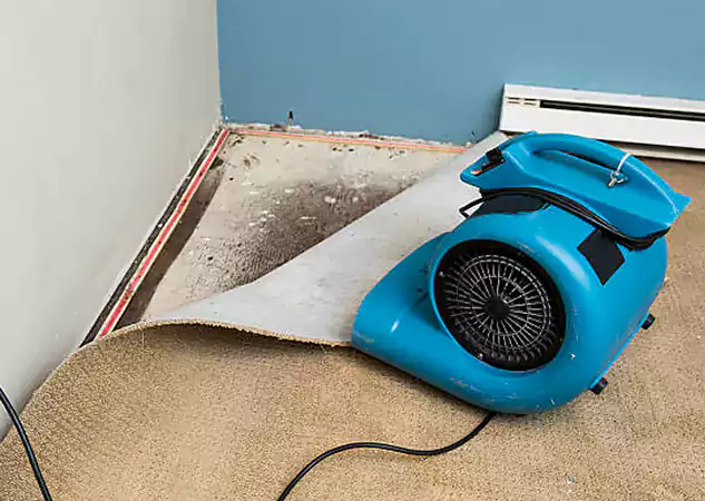 Your Water Damage Experts in Whitesburg, GA