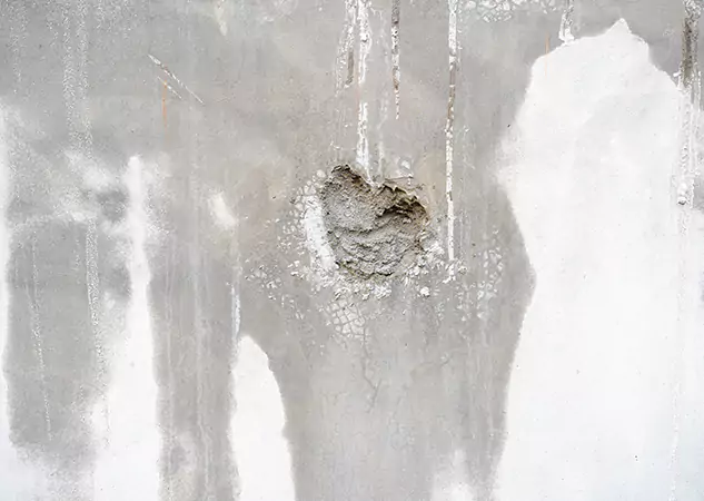 Your Mold Mitigation Solutions Partner in Whitesburg, GA