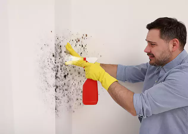 Your Water Mold Fire Restoration Partner in Whitesburg, GA