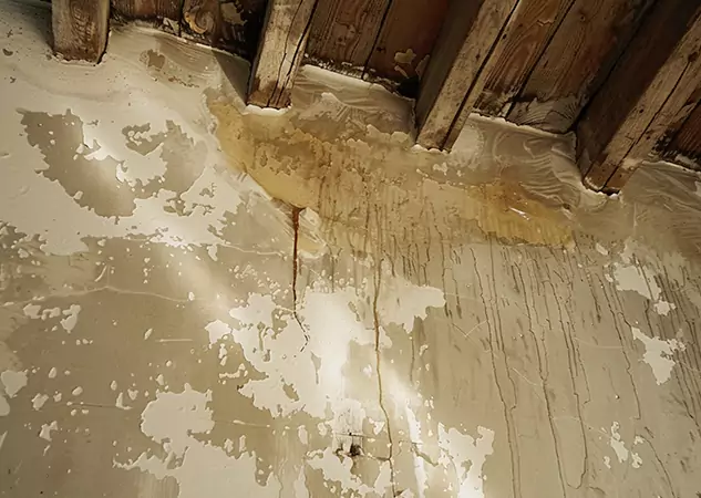 Your Trusted Restoration Company in Whitesburg, GA