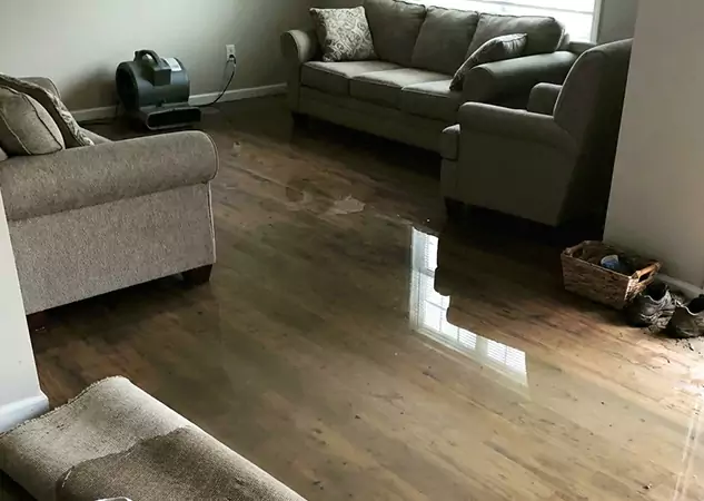 Your Trusted Restoration Company in Whitesburg, GA