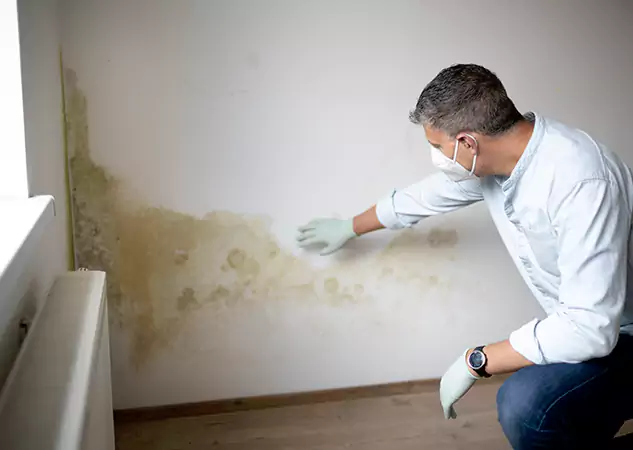 Reach Our Remediation Team Before Damage Grows in Whitesburg, GA!