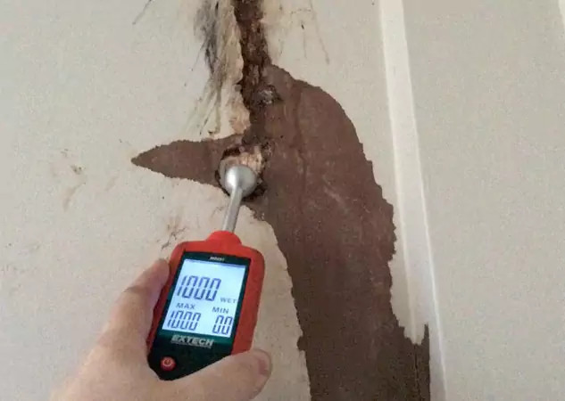 Your Water Damage Assessment Partner in Whitesburg, GA