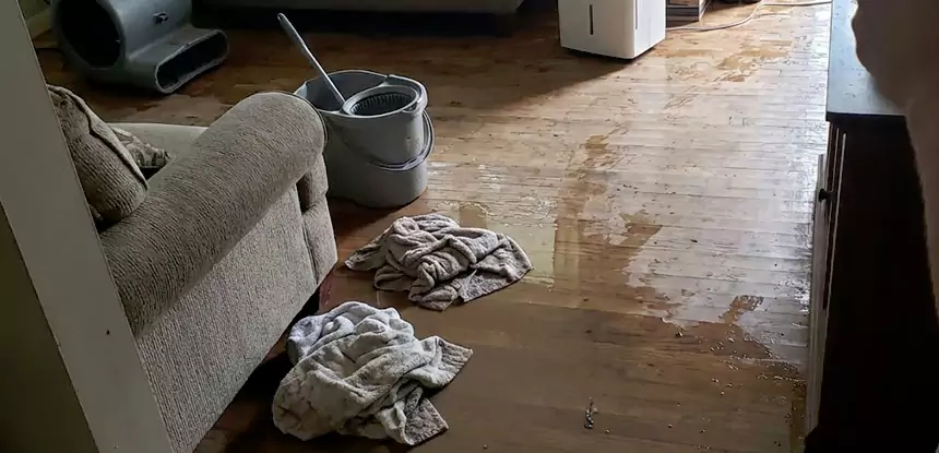 Professional Basement Water Remediation Services in Whitesburg, GA