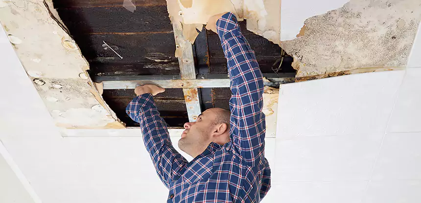 Attic Wood Rot Repair in Whitesburg