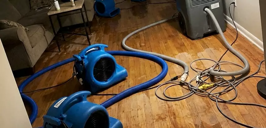 Basement Flood Restoration Services in Whitesburg