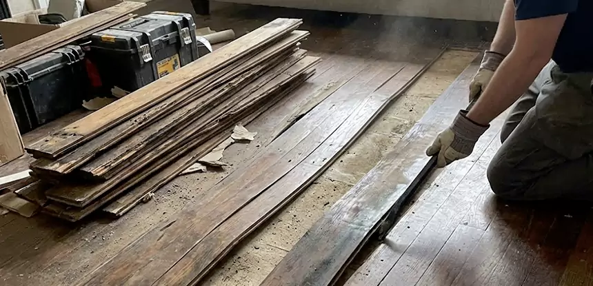 Wood Rot and Fungus Repair in Whitesburg