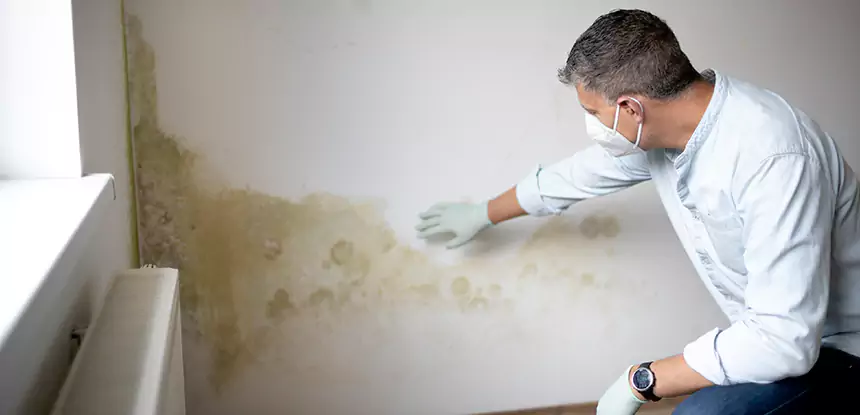 Mold and Water Damage Repair in Whitesburg