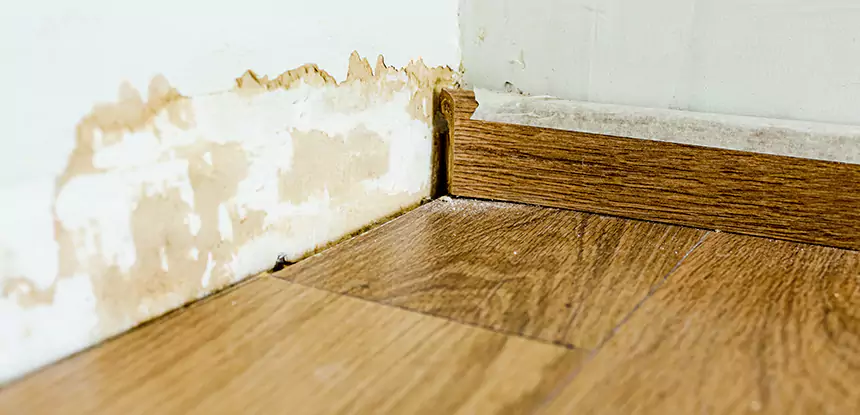 Professional Fix Water Damaged Wood Services in Whitesburg, GA
