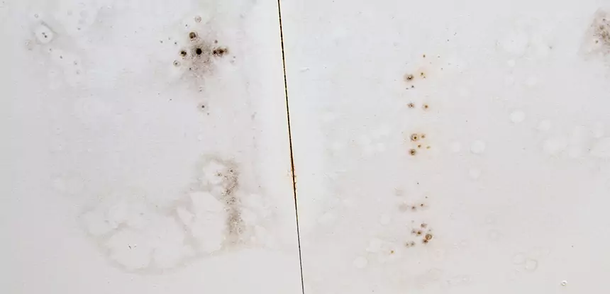 Professional Water Stain Repair Services in Whitesburg, GA