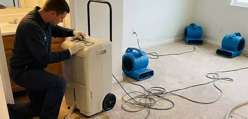 Professional Wet Carpet Removal Services in Whitesburg, GA