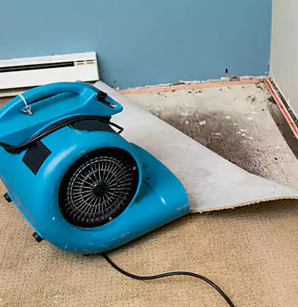 Why Whitesburg Trusts Whitesburg Restoration Pro for Carpet Flood Recovery?