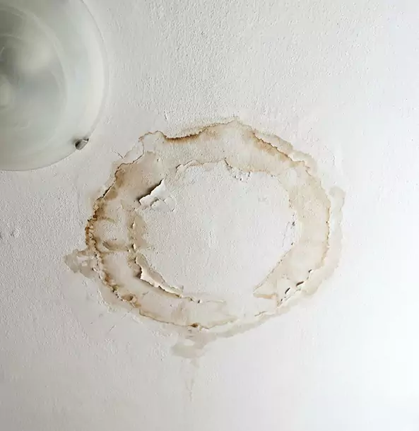 Why Whitesburg Property Owners Choose Whitesburg Restoration Pro for Ceiling Water Damage Restoration?