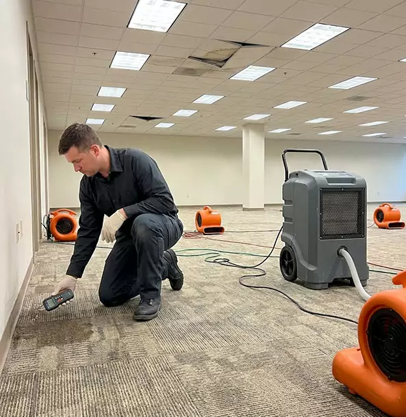 Why Whitesburg Businesses Choose Whitesburg Restoration Pro for Water Cleanup?