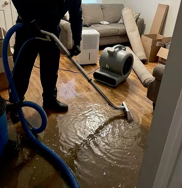 Why Whitesburg Trusts Whitesburg Restoration Pro for Flood Cleanup?