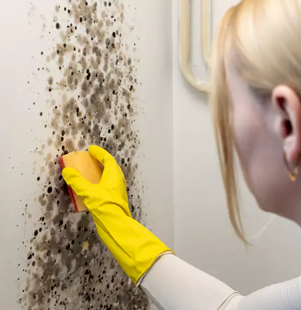 Why Whitesburg Restoration Pro Leads Mold Remediation in Whitesburg?