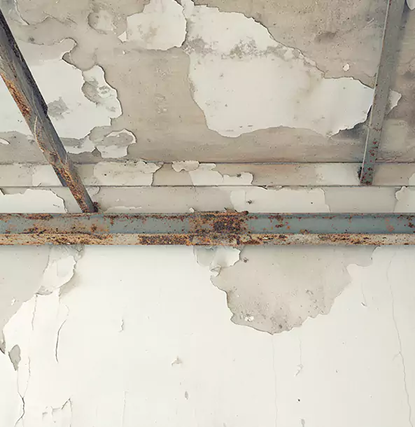 Why Whitesburg Restoration Pro Is the Right Choice in Whitesburg, GA?