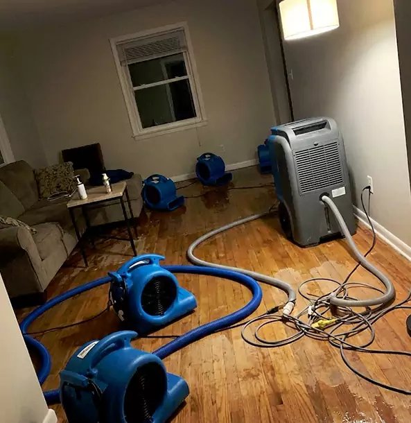 Why Whitesburg Property Owners Rely on Whitesburg Restoration Pro for Remediation?