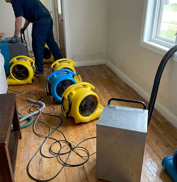 Why Whitesburg Property Owners Choose Whitesburg Restoration Pro for Remediation?