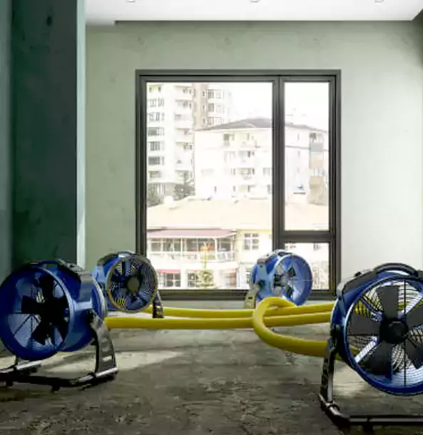 Why Whitesburg Property Owners Trust Whitesburg Restoration Pro for Water Damage Drying?
