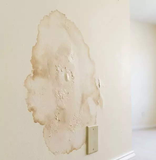 Why Whitesburg Homeowners Trust Whitesburg Restoration Pro for Drywall Restoration?
