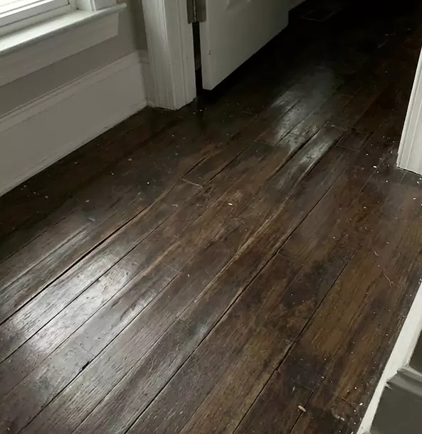 Why Whitesburg Homeowners Trust Whitesburg Restoration Pro to Fix Water Damaged Wood?