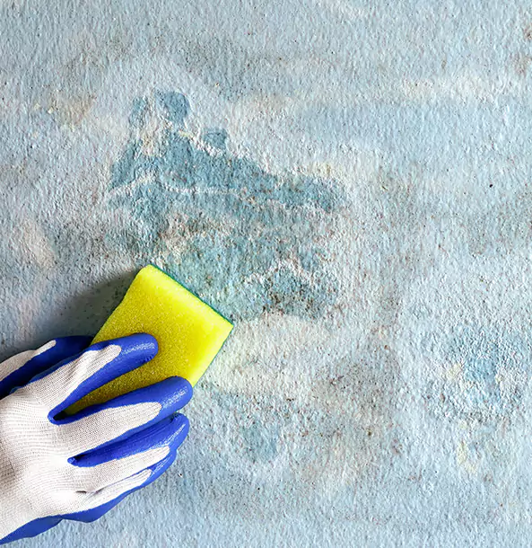 Why Whitesburg Restoration Pro Is the Right Choice in Whitesburg, GA?