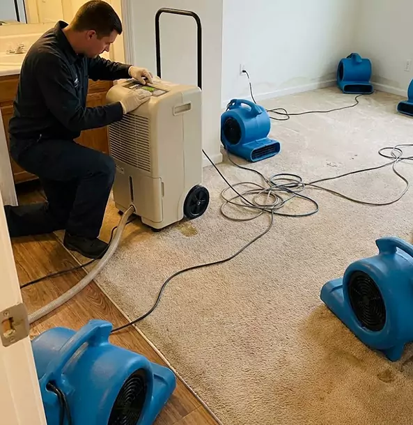 Why Whitesburg Homeowners and Businesses Trust Whitesburg Restoration Pro for Carpet Drying?