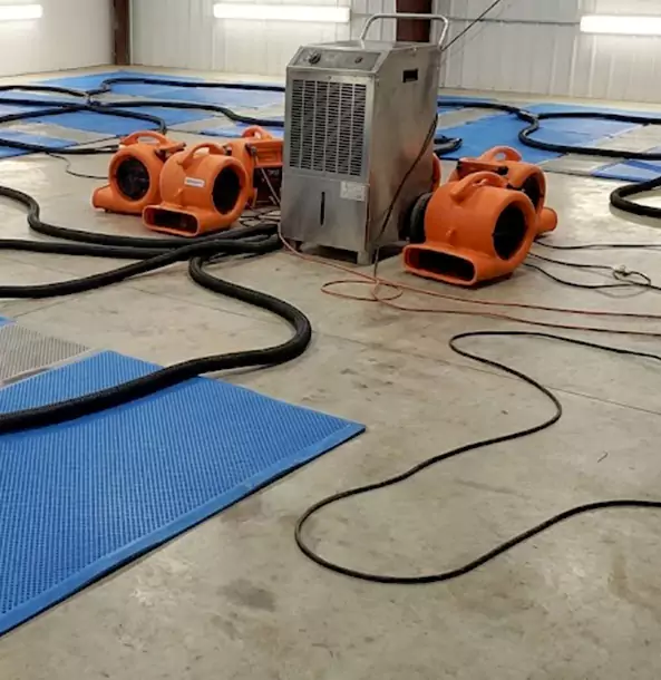 Why Whitesburg Homeowners and Businesses Choose Whitesburg Restoration Pro for Wet Carpet Removal?