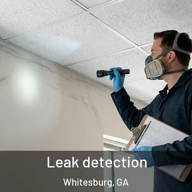  Leak detection Whitesburg, GA