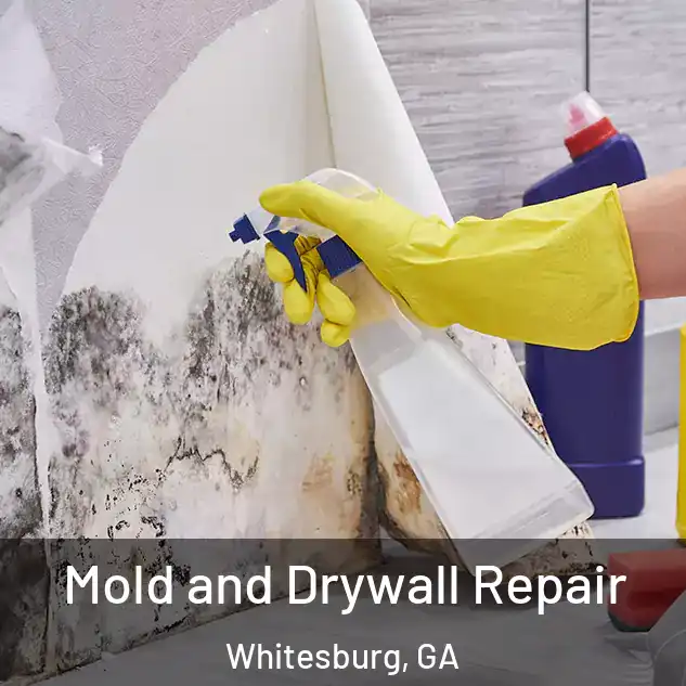  Mold and Drywall Repair Whitesburg, GA