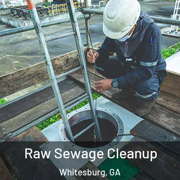 Raw Sewage Cleanup Whitesburg, GA