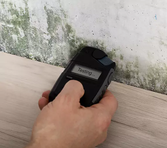 Mold Remediation Service Whitesburg