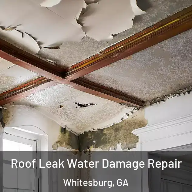  Roof Leak Water Damage Repair Whitesburg, GA