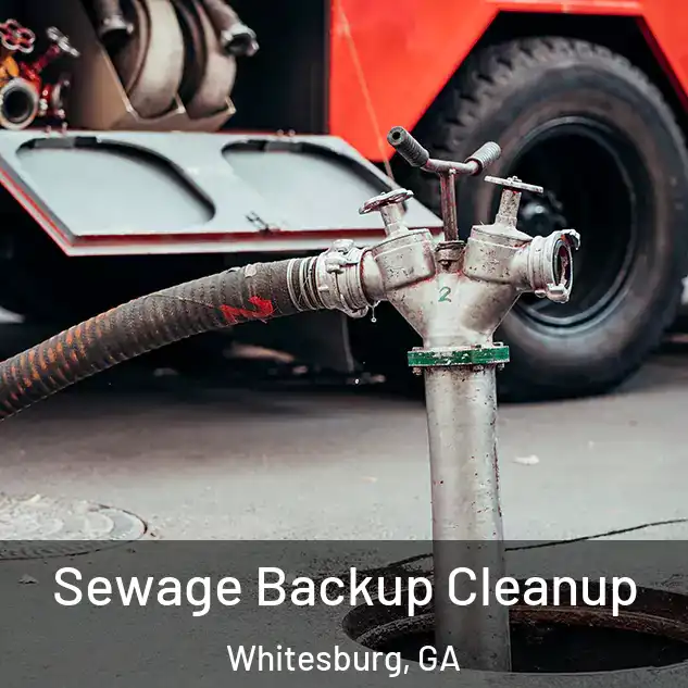  Sewage Backup Cleanup Whitesburg, GA