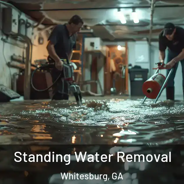  Standing Water Removal Whitesburg, GA