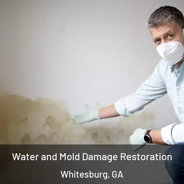  Water and Mold Damage Restoration Whitesburg, GA