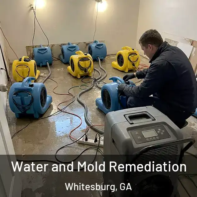  Water and Mold Remediation Whitesburg, GA