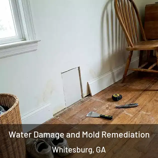  Water Damage and Mold Remediation Whitesburg, GA
