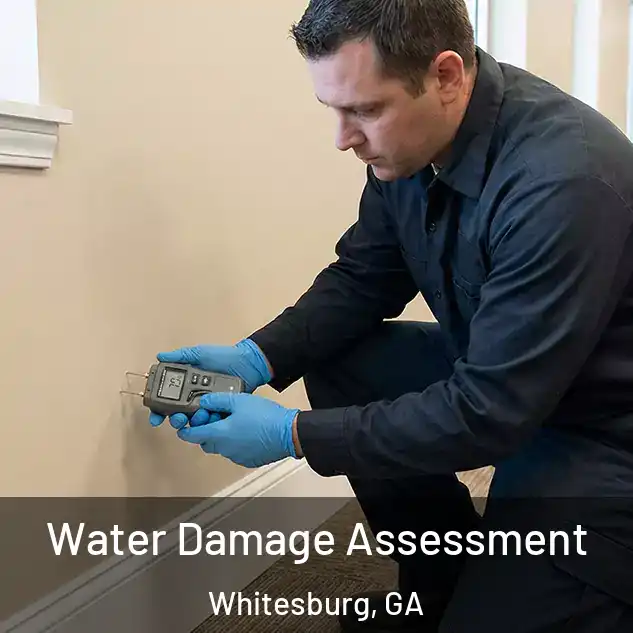  Water Damage Assessment Whitesburg, GA