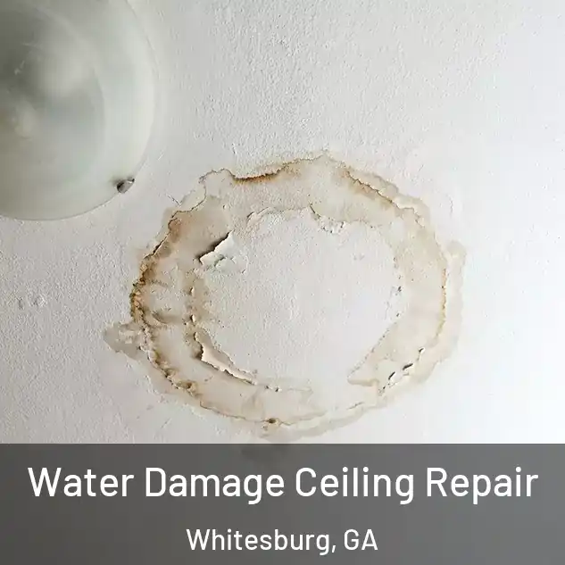  Water Damage Ceiling Repair Whitesburg, GA
