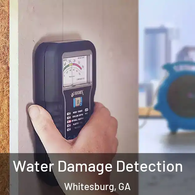  Water Damage Detection Whitesburg, GA