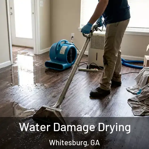  Water Damage Drying Whitesburg, GA