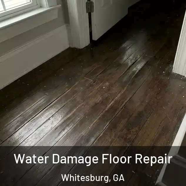  Water Damage Floor Repair Whitesburg, GA